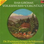 Various - Das Grosse Volksmusik-Vergnügen (LP, Comp)