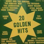 Various - 20 Golden Hits (LP, Comp)