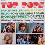 Various - Top Pops (2xLP, Comp)