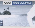 R.O.O.S. - Living In A Dream (12")