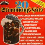 Unknown Artist - 20 Stimmungs Hits (LP, Comp)
