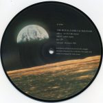 Royal Family And The Poor - We Love The Moon (7", Single, Pic)