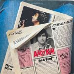 Andy Kim - Pop Gold (LP, Comp, Club, RE)