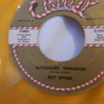 Roy Wynn - Bucksnort, Tennessee / Nine Red Roses (7")