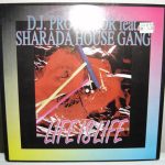 DJ Professor - Life Is Life (12")