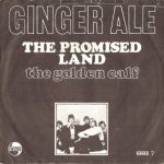 Ginger Ale (2) - The Promised Land (7")
