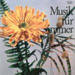 Various - Musik Für Immer (LP)