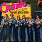 The Spotnicks - Spotnicks (LP, Comp, Club)