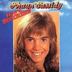 Shaun Cassidy - That's Rock 'N' Roll (LP, Album)
