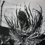 Altstadt-Studio-Combo - Lebenszeichen (LP, Album)