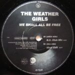 The Weather Girls - We Shall All Be Free (12", Promo)