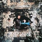 Bobby Bridger - And I Wanted To Sing For The People (LP, Album)