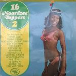 Unknown Artist - 16 Noordzee Toppers 2 (LP)