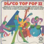 Unknown Artist - Disco Top Pop II (LP)