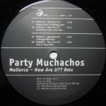 Party Muchachos - Mallorca - How Are U?? (Remix) (12")