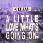 Ceejay - A Little Love (What's Going On) (12")