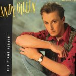 Andy Gillin - Old Flame Burnin' (12", Maxi)