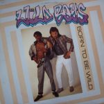 Wild Boys (3) - Born To Be Wild (12", Maxi)