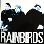 Rainbirds - Blueprint (12", Maxi)
