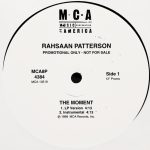 Rahsaan Patterson - The Moment (12", Promo)