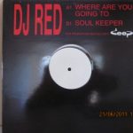 R.E.D. (2) - Where Are You Going To / Soul Keeper (12", Promo, W/Lbl)