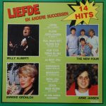 Various - Liefde En Andere Successen (LP, Comp)