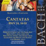 Johann Sebastian Bach - Bach-Ensemble, Helmuth Rilling - Cantatas BWV 14, 16-18 (Wär Gott Nicht Mit Uns Diese Zeit / Herr Gott, Dich Loben Wir / Wer Dank Opfert, Der Preiset Mich / Gleichwie Der Regen Und Schnee Vom Himmel Fällt) (CD)
