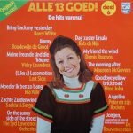 Various - Alle 13 Goed 6 (De Hits Van Nu) (LP, Comp)