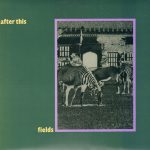 After This - Fields / Hollow Hills (12")