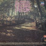 Various - Down Memory Lane (LP, Comp)