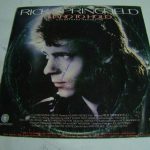 Rick Springfield - Hard To Hold - Soundtrack Recording (LP, Album)