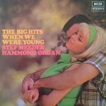 Stef Meeder - The Big Hits When We Were Young (LP)