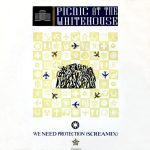 Picnic At The Whitehouse - We Need Protection (Screamix) (12")