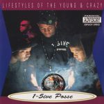 1-5ive Posse - Lifestyles Of The Young & Crazy (CD, Album)