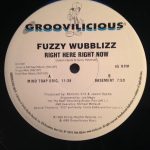 Fuzzy Wubblizz - Right Here Right Now (12")