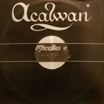 R.A.F. By Picotto - Tuttincoro / Voxband (12")