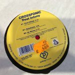 Crossfonic - Treat Infamy (12", Maxi)