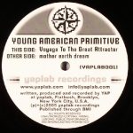 Young American Primitive - Voyage To The Great Attractor / Mother Earth Dream (12")