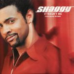 Shaggy Featuring Rikrok* - It Wasn't Me (CD, Single)