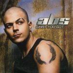 Abs (3) - What You Got (CD, Single, Car)