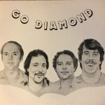 The Ken Pitman Band - Go Diamond (LP, Album)