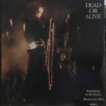 Dead Or Alive - Something In My House (Mortevicar Mix) (12")