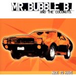 Mr. Bubble B. And The Coconuts - Nice To Have (CD, Album)