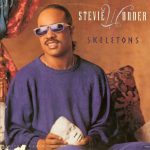 Stevie Wonder - Skeletons (12")