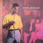 Animal Nightlife - Mr Solitaire (12")