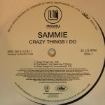 Sammie - Crazy Things I Do (12", Single, Promo)