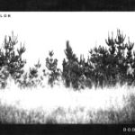 The Dodos - No Color (CD)