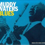 Muddy Waters - Blues (CD, Comp)