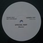 River City People - Special Way (Remix) (12", Promo)