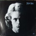 Walter Egan - Not Shy (LP, Album)